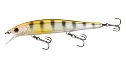 Yo-Zuri 3DB Jerkbait 110 22 Yo-Zuri 3DB Jerkbait 110 -Fishing Sports Shop 32233071345753