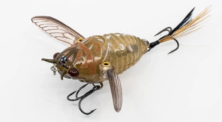Chasebaits Ripple Cicada 1 3/4 Inch Wakebait Crawler 4 Chasebaits Ripple Cicada 1 3/4 Inch Wakebait Crawler - Image 2