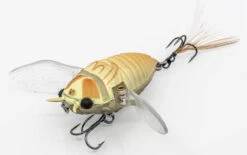 Chasebaits Ripple Cicada 1 3/4 Inch Wakebait Crawler 11 Chasebaits Ripple Cicada 1 3/4 Inch Wakebait Crawler -Fishing Sports Shop 32233146843225