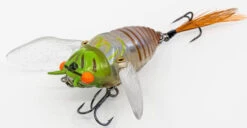 Chasebaits Ripple Cicada 1 3/4 Inch Wakebait Crawler 12 Chasebaits Ripple Cicada 1 3/4 Inch Wakebait Crawler -Fishing Sports Shop 32233146875993