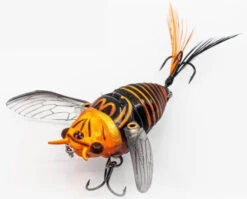 Chasebaits Ripple Cicada 1 3/4 Inch Wakebait Crawler 13 Chasebaits Ripple Cicada 1 3/4 Inch Wakebait Crawler -Fishing Sports Shop 32233146908761