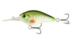13 Fishing Cliff Banger Medium-Deep Diving Crankbait -Fishing Sports Shop 32254099619929