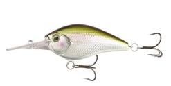 13 Fishing Cliff Banger Medium-Deep Diving Crankbait -Fishing Sports Shop 32254099718233