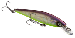 Strike King KVD 100 Series Suspending Shallow Jerkbait 21 Strike King KVD 100 Series Suspending Shallow Jerkbait -Fishing Sports Shop 32272586309721