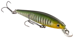Strike King KVD 100 Series Suspending Shallow Jerkbait 24 Strike King KVD 100 Series Suspending Shallow Jerkbait -Fishing Sports Shop 32272586408025