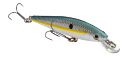 Strike King KVD 100 Series Suspending Shallow Jerkbait 27 Strike King KVD 100 Series Suspending Shallow Jerkbait -Fishing Sports Shop 32272586506329
