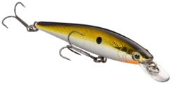 Strike King KVD 100 Series Suspending Shallow Jerkbait 28 Strike King KVD 100 Series Suspending Shallow Jerkbait -Fishing Sports Shop 32272586539097