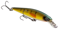 Strike King KVD 100 Series Suspending Shallow Jerkbait 31 Strike King KVD 100 Series Suspending Shallow Jerkbait -Fishing Sports Shop 32272586637401