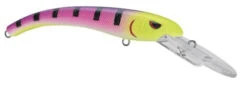 SPRO MadEye Diver 85 Extra Deep Diving Crankbait 20 SPRO MadEye Diver 85 Extra Deep Diving Crankbait -Fishing Sports Shop 32339524419673
