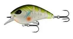 13 Fishing Flatty Daddy 2 1/2 Inch Flat-Sided Squarebill Crankbait 14 13 Fishing Flatty Daddy 2 1/2 Inch Flat-Sided Squarebill Crankbait -Fishing Sports Shop 39255574184025