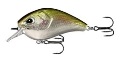 13 Fishing Flatty Daddy 2 1/2 Inch Flat-Sided Squarebill Crankbait 15 13 Fishing Flatty Daddy 2 1/2 Inch Flat-Sided Squarebill Crankbait -Fishing Sports Shop 39255574216793