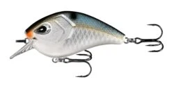 13 Fishing Flatty Daddy 2 1/2 Inch Flat-Sided Squarebill Crankbait 17 13 Fishing Flatty Daddy 2 1/2 Inch Flat-Sided Squarebill Crankbait -Fishing Sports Shop 39255574282329