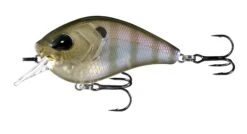 13 Fishing Flatty Daddy 2 1/2 Inch Flat-Sided Squarebill Crankbait 18 13 Fishing Flatty Daddy 2 1/2 Inch Flat-Sided Squarebill Crankbait -Fishing Sports Shop 39255574315097