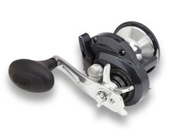 Shimano Torium Star Drag Conventional Reels -Fishing Sports Shop 39267241558105
