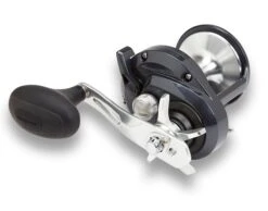 Shimano Torium Star Drag Conventional Reels -Fishing Sports Shop 39267241656409
