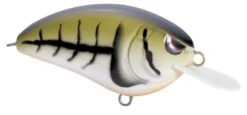 SPRO Little John 50 Type R Shallow Diving Crankbait -Fishing Sports Shop 39332414488665
