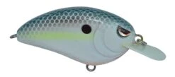SPRO Little John 50 Type R Shallow Diving Crankbait -Fishing Sports Shop 39332414554201