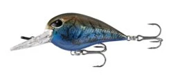 13 Fishing Gordito 2 Inch Medium Diving Crankbait 11 13 Fishing Gordito 2 Inch Medium Diving Crankbait -Fishing Sports Shop 39332617879641
