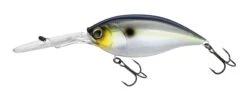 Hardcore Bullet Crank 100F 7+ Extra Deep Crankbait -Fishing Sports Shop 39406623457369