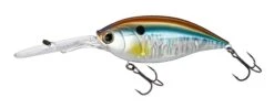 Hardcore Bullet Crank 100F 7+ Extra Deep Crankbait -Fishing Sports Shop 39406623555673