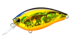 Hardcore Crank 65F 2+ Medium Crankbait -Fishing Sports Shop 39410750816345