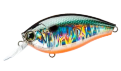 Hardcore Crank 65F 2+ Medium Crankbait -Fishing Sports Shop 39410750849113