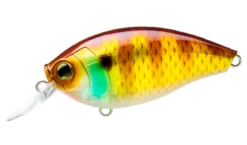 Hardcore Crank 65F 2+ Medium Crankbait -Fishing Sports Shop 39410750914649