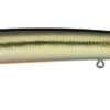 Daiwa Steez Custom HMKL Minnow Jerkbait -Fishing Sports Shop 39553567490137