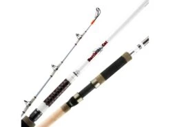 Okuma Battle Cat Catfish Spinning Rod 2-piece -Fishing Sports Shop 39701683798105