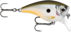 Rapala BX Mid-Brat 05 Squarebill Crankbait -Fishing Sports Shop 39740178169945