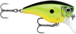 Rapala BX Mid-Brat 05 Squarebill Crankbait -Fishing Sports Shop 39740178202713