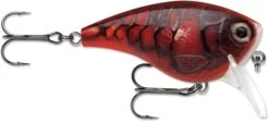 Rapala BX Mid-Brat 05 Squarebill Crankbait -Fishing Sports Shop 39740178235481