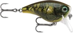 Rapala BX Mid-Brat 05 Squarebill Crankbait -Fishing Sports Shop 39740178366553