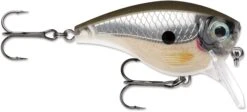 Rapala BX Mid-Brat 05 Squarebill Crankbait -Fishing Sports Shop 39740178399321
