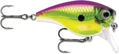 Rapala BX Mid-Brat 05 Squarebill Crankbait -Fishing Sports Shop 39740178432089