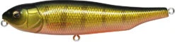 Megabass Giant Dog-X Topwater 22 Megabass Giant Dog-X Topwater -Fishing Sports Shop 39751966785625