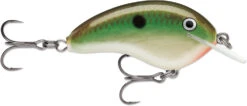 Rapala OG Tiny 04 Shallow Diving Crankbait -Fishing Sports Shop 39756565971033