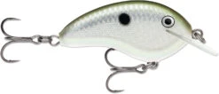 Rapala OG Tiny 04 Shallow Diving Crankbait -Fishing Sports Shop 39756566102105