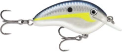 Rapala OG Tiny 04 Shallow Diving Crankbait -Fishing Sports Shop 39756566134873