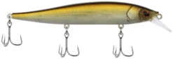 Berkley Stunna Jerkbait -Fishing Sports Shop 39765504950361