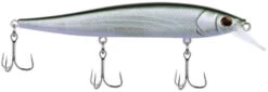 Berkley Stunna Jerkbait -Fishing Sports Shop 39765505409113