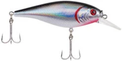 Berkley Flicker Shad Shallow Crankbait -Fishing Sports Shop 39767092854873