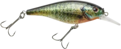 Berkley Flicker Shad Shallow Crankbait -Fishing Sports Shop 39767092920409