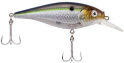 Berkley Flicker Shad Shallow Crankbait -Fishing Sports Shop 39767093018713