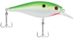 Berkley Flicker Shad Shallow Crankbait -Fishing Sports Shop 39767093117017