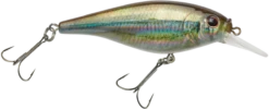 Berkley Flicker Shad Shallow Crankbait -Fishing Sports Shop 39767093248089