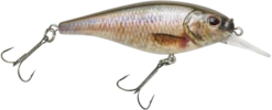 Berkley Flicker Shad Shallow Crankbait -Fishing Sports Shop 39767093313625