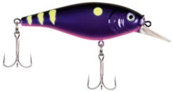 Berkley Flicker Shad Shallow Crankbait -Fishing Sports Shop 39767093411929
