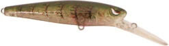 SPRO McRip 85 Jerkbait -Fishing Sports Shop 39781728354393