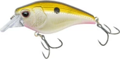 Nomad Design Atlas Squarebill Crankbait -Fishing Sports Shop 39840471908441